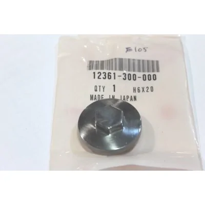 HONDA COPERCHIO REGISTRO...