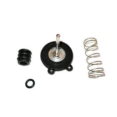 HONDA MEMBRANA POMPA...