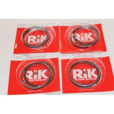 HONDA FASCE MOTORE RIKEN...