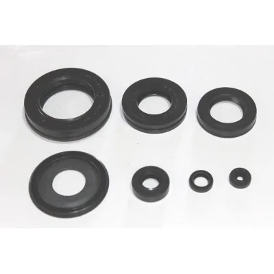 HONDA KIT PARAOLI MOTORE...