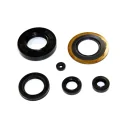HONDA KIT PARAOLI MOTORE PER CB250-400N -CB250T-CB400T