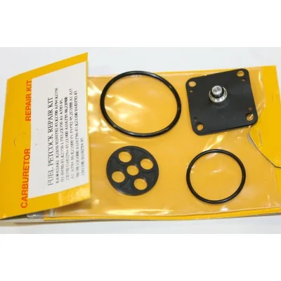 KAWASAKI KIT REVISIONE...