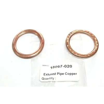 KAWASAKI GUARNIZIONI...