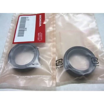 HONDA COPPIA PARAOLI...