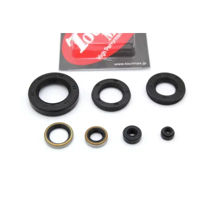 KAWASAKI KIT PARAOLI MOTORE...