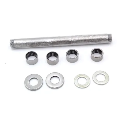 KAWASAKI KIT REVISIONE...