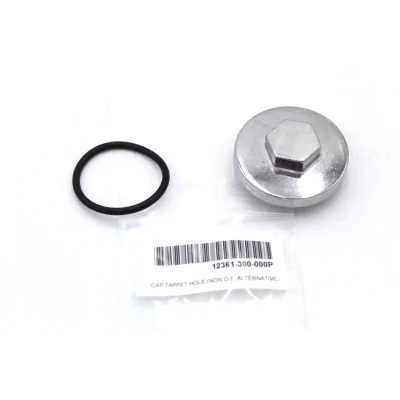 HONDA COPERCHIO REGISTRO...