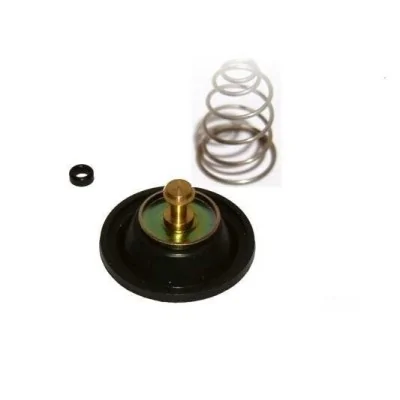 HONDA MEMBRANA LATERALE...